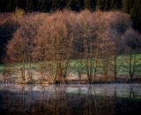 NEF_7517