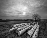 1_DSC_1381-Edit-2