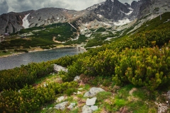 Vysoké Tatry