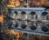 750_1331-Edit