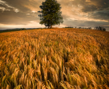 750_3367-Edit-Edit