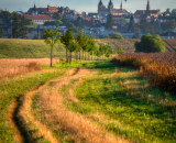 750_3759-Edit