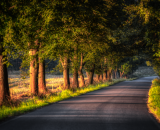 750_3940-Edit