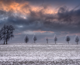 810_1469PS-Edit-2-topaz-denoise-Edit