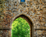 810_2534-Edit-Edit