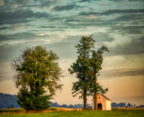 810_2598-Edit-Edit-topaz-denoise