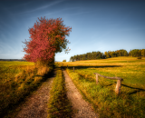 810_4760-Edit-studio