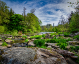 850_3475-Edit