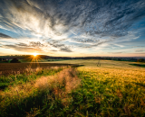 850_4315-Edit