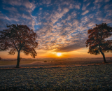 NEF_6226-Edit-4-studio