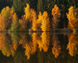 podzimni_zrcadleni