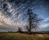 strom1