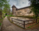 850_4753-Edit