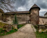 850_4763-Edit