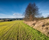 Taková odpolední procházky.. 23. prosince 2014, po sněhu ani památky, 8st. Jediné co to kazilo byl silný vítr.. Lokace: pole kousek od lyžaře.