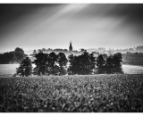 810_2561-Edit-2-topaz-denoise