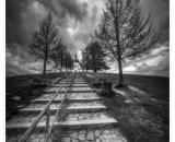 850_9350-Edit-3-Edit-topaz-denoise-2